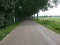 2013-07-17 11_30 001